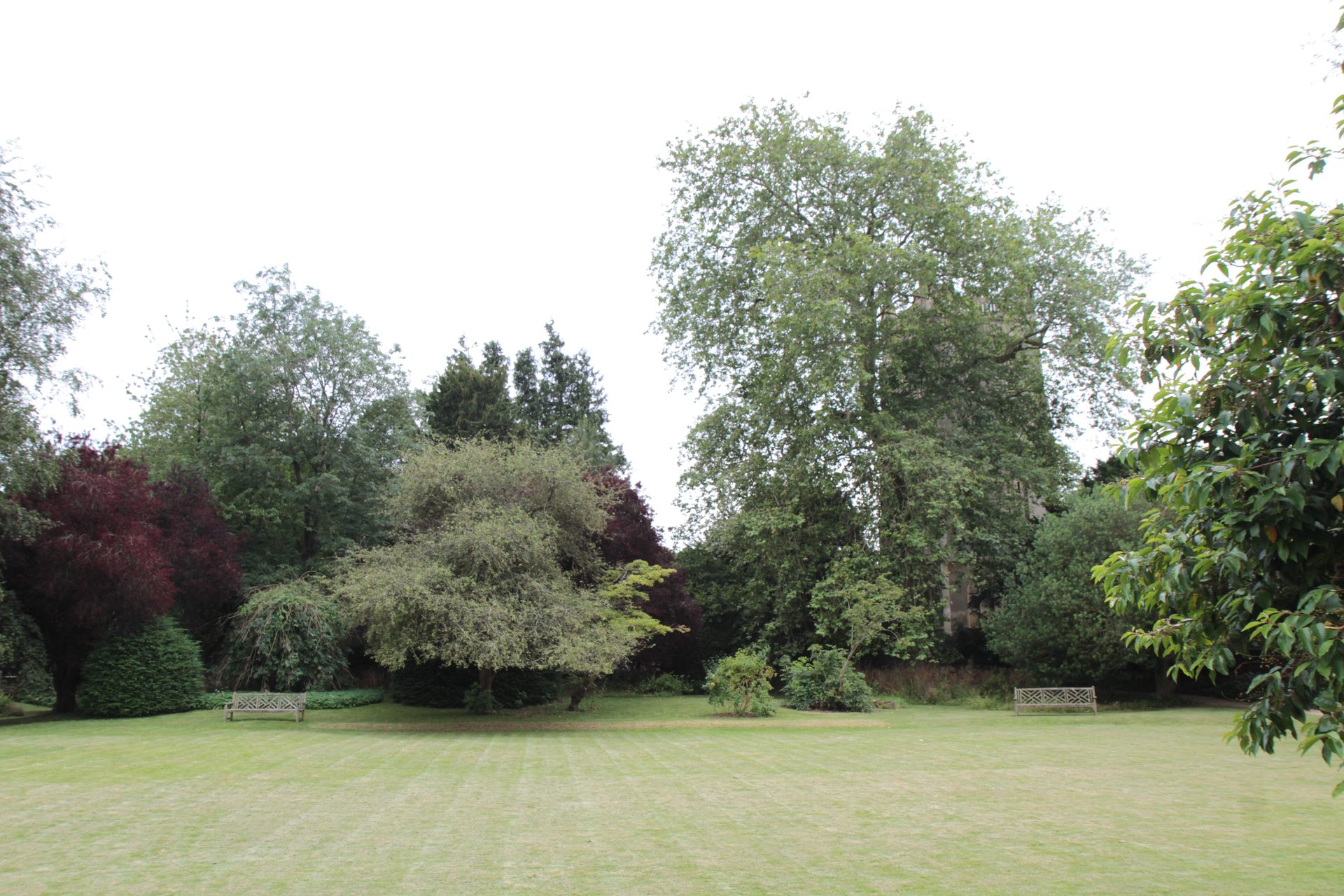 Edward%20Jenner%27s%20House%20and%20Museum%2C%20Berkeley%2C%20UK%20%2818%29.JPG