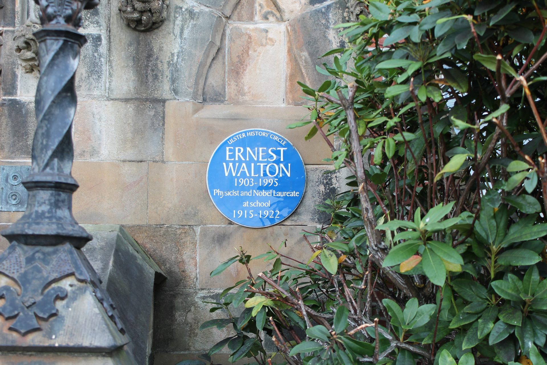 Ernest-Walton---Belfast---2-min.jpg