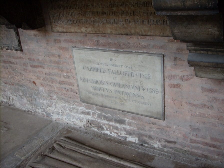 GFalloppiaAndMGuilandiniTombsPadua3.JPG