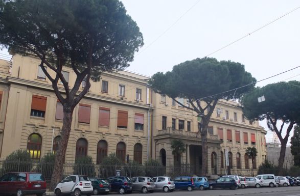Museum of Comparative Anatomy 1..jpg