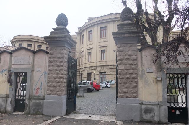 Museum of Comparative Anatomy 4..jpg