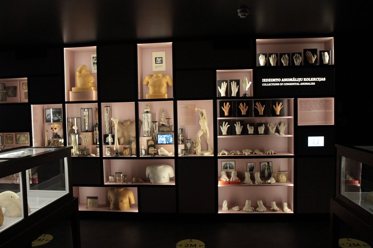 RSU_Anatomy_Museum_Riga_Latvia_10.JPG