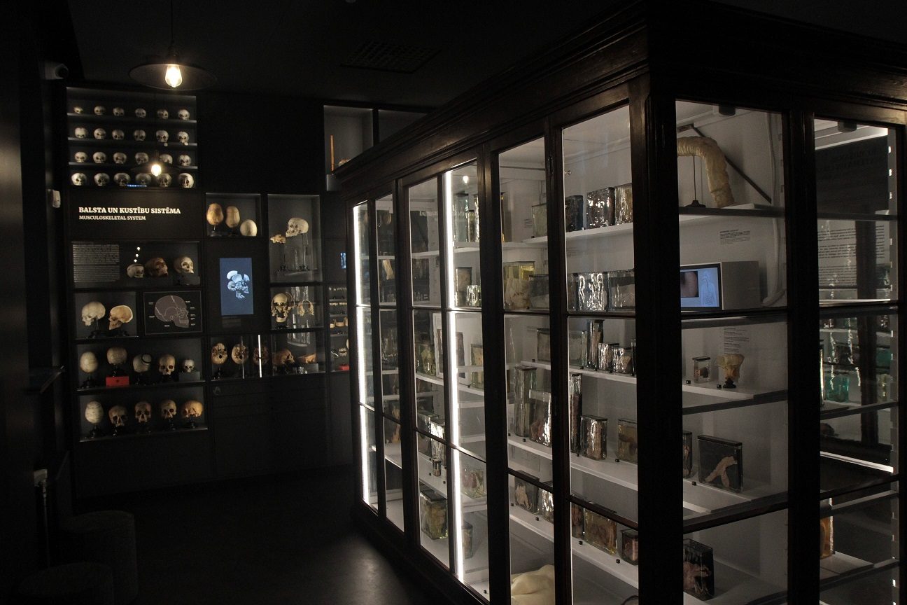RSU_Anatomy_Museum_Riga_Latvia_3.JPG