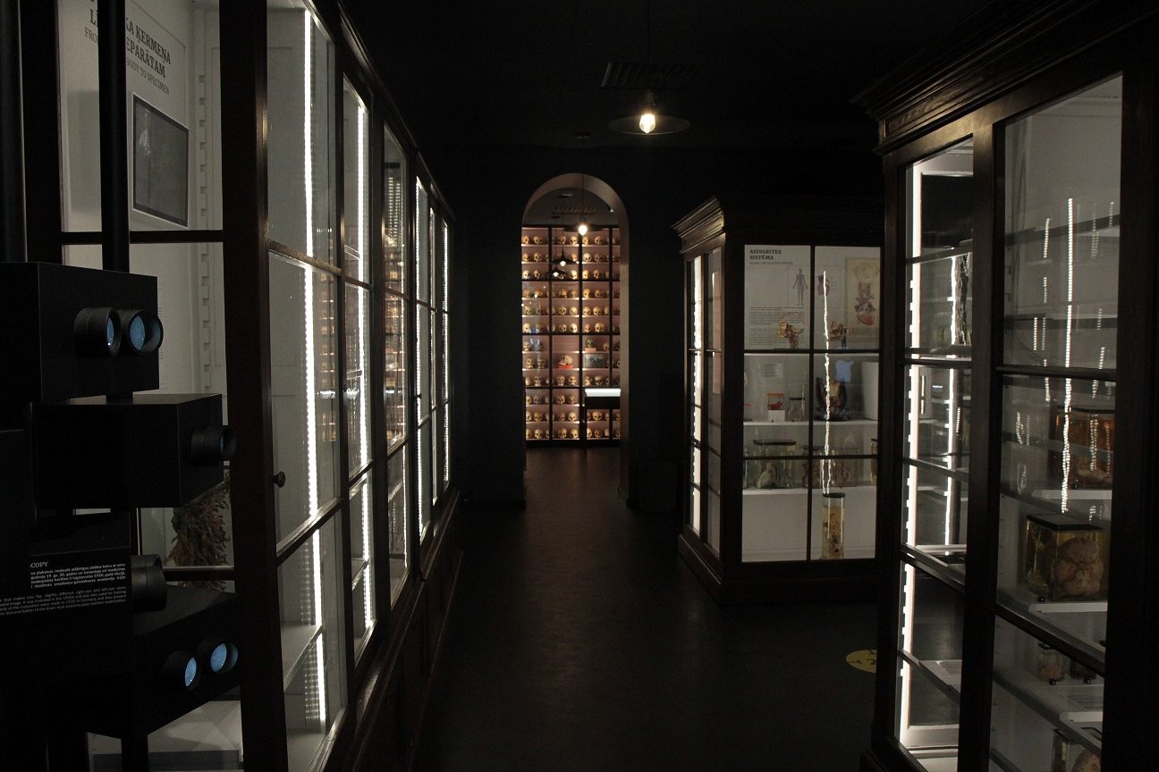 RSU_Anatomy_Museum_Riga_Latvia_4.JPG