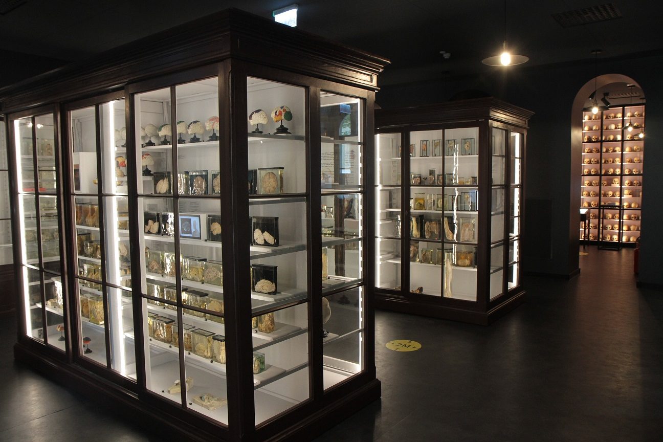 RSU_Anatomy_Museum_Riga_Latvia_5.JPG