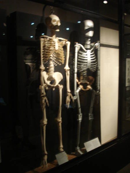 The Science And Art Of Medicine Gallery