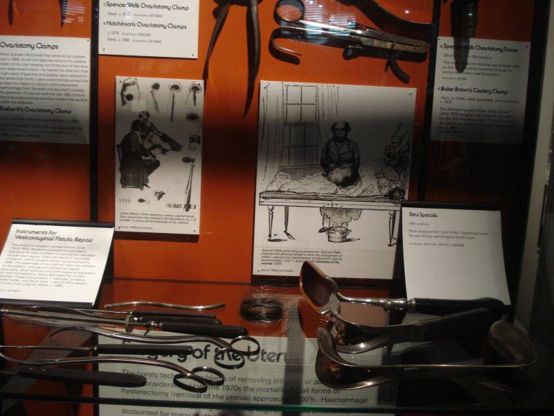 The Science And Art Of Medicine Gallery