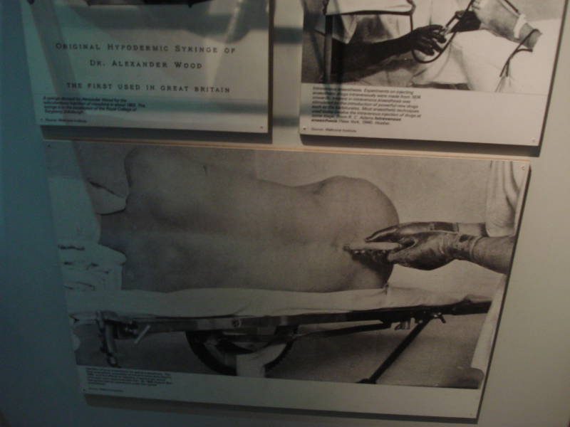 The Science And Art Of Medicine Gallery