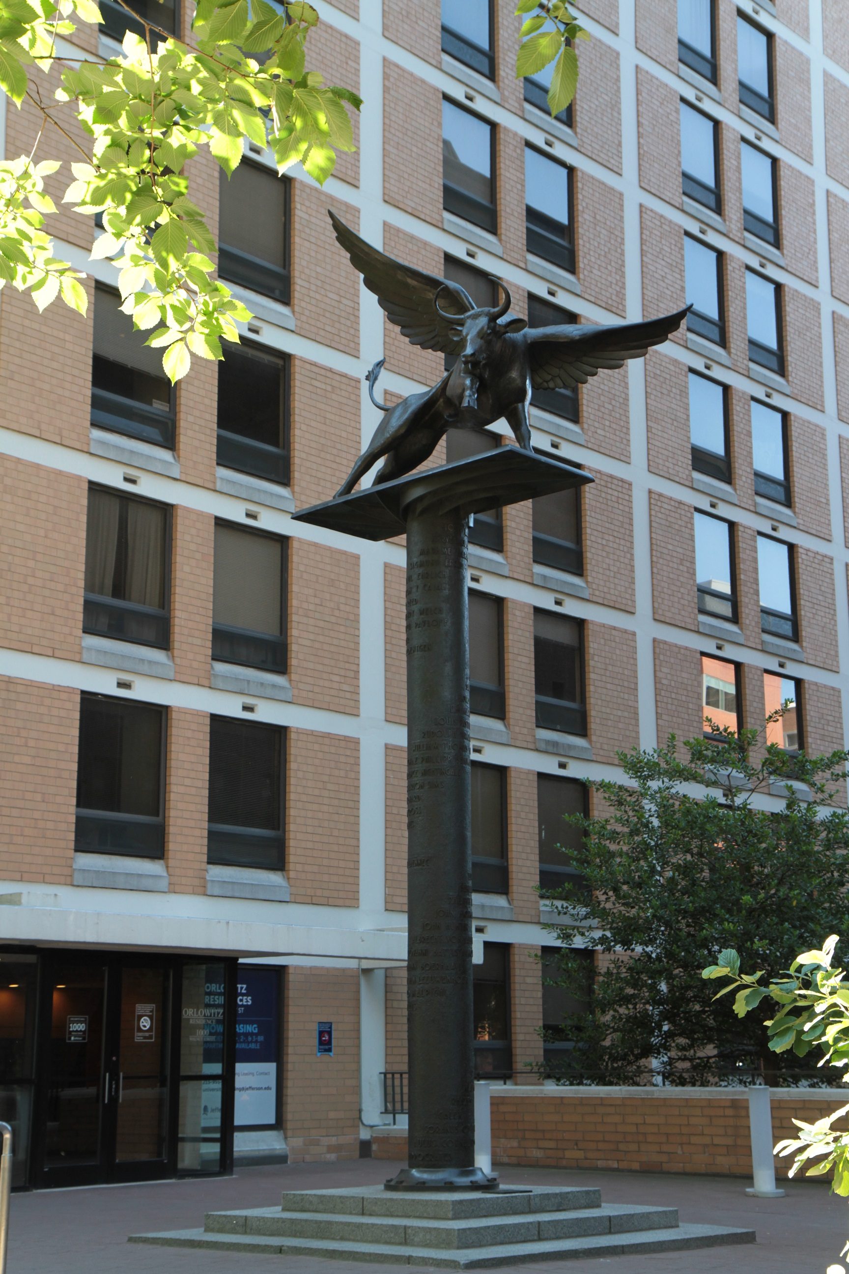 Winged_ox_statue_Jefferson_Medical_School_Philadelphia_2.jpg
